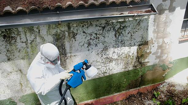 Top rated local Attic Mold Removal specialists in Airville, PA